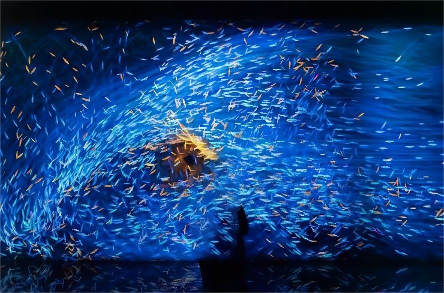 1707121496218854.jpg 3.jpg